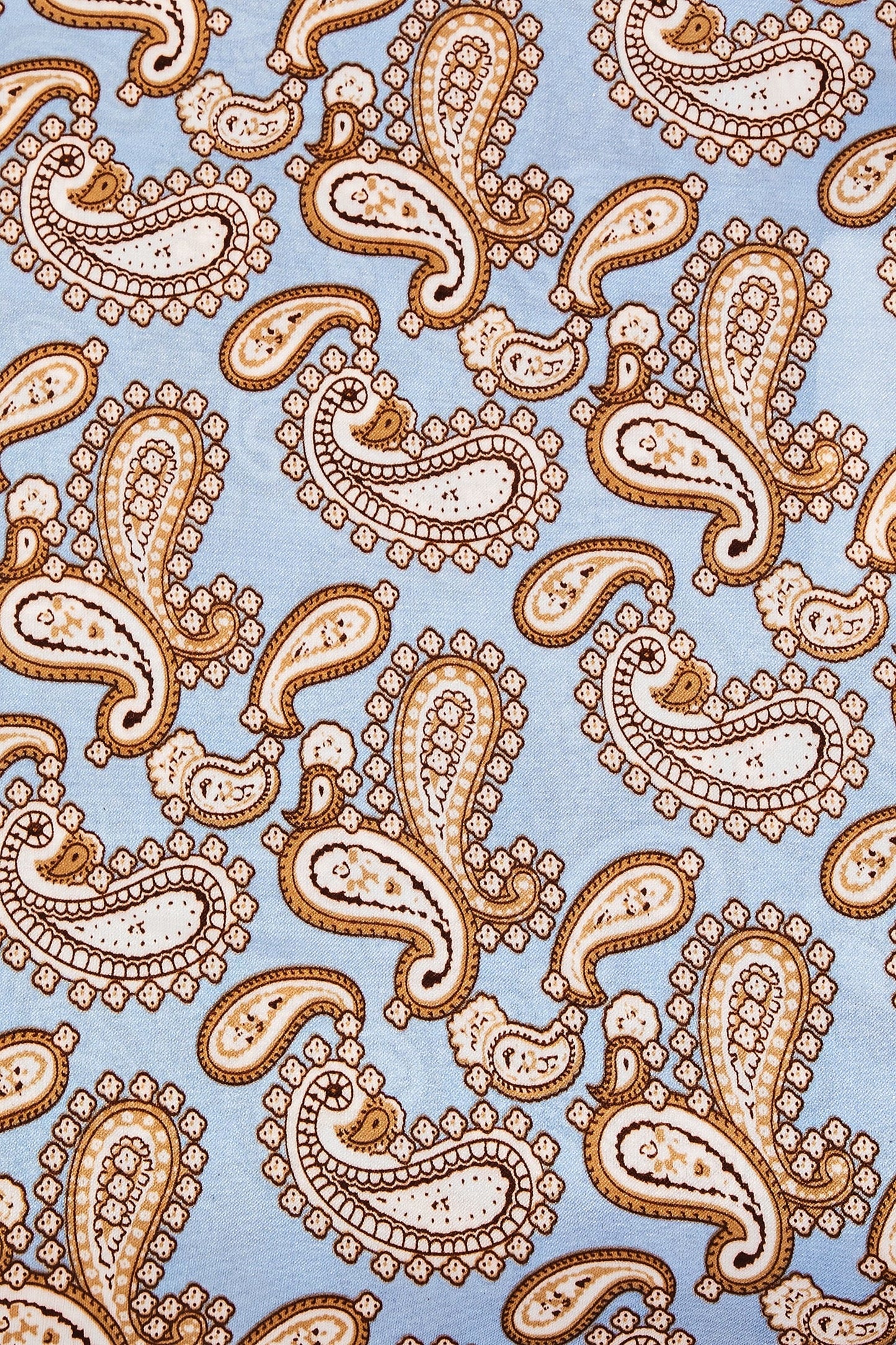 PAISLEY PRINCESS BANDANNA